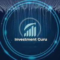 Investmen Guru