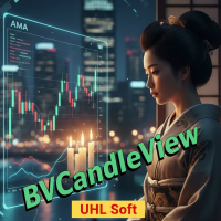 BVCandleView