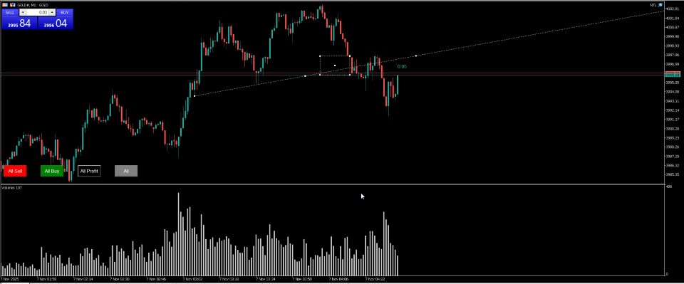 スクリーンショット #1 Supporting for scapling XAUUSD