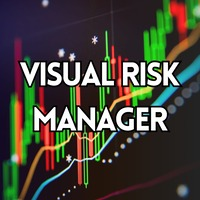 Visual Risk Manager