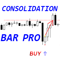 Consolidation Bar Pro m