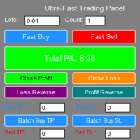 Fast Trading Panel