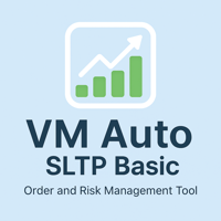 VM Auto SLTP Basic