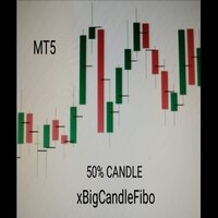 XbigCandleFibo