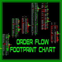 Cluster order flow footprint with volume profile