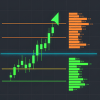 Liquidity HeatMap Profile