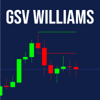 GSV Williams