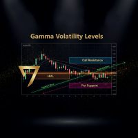 Gamma Volatility Levels