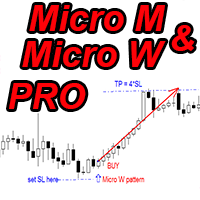 Micro M and Micro W patterns Pro m trading account results logo showing -32.79% ROI