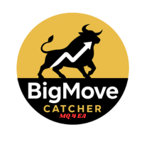 BigMove Catcher
