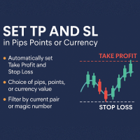 Set TP and SL in Pips Points or Currency