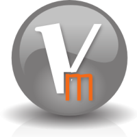 Virtual Management