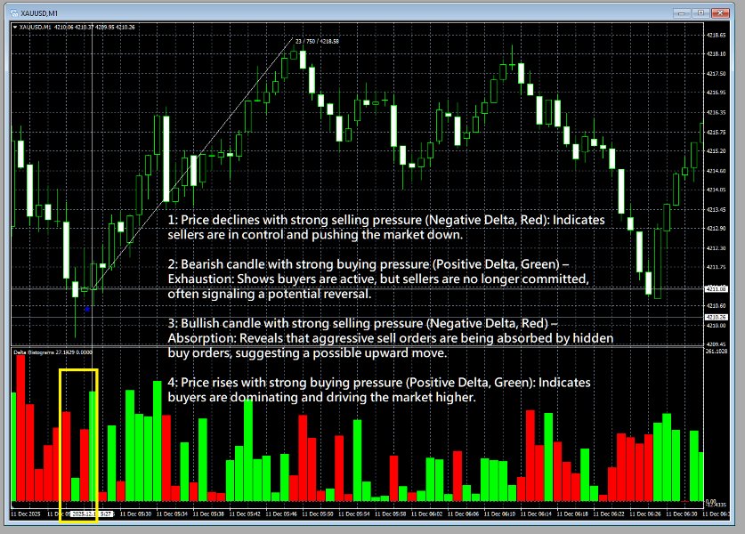 截图 #1 Orderflow Absorption MT5