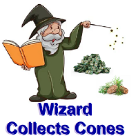 Wizard Collects Cones