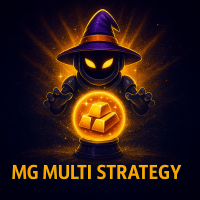 MG Multi Strategy