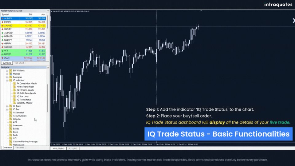 Screenshot #9 IQ Trade Status