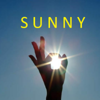 Sunny
