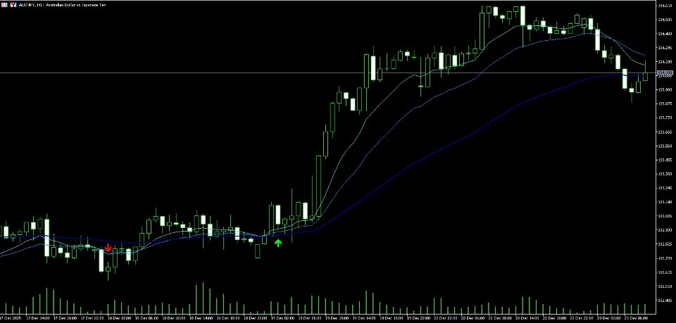 Screenshot #1 Echo Skip