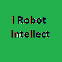I Robot Intellect