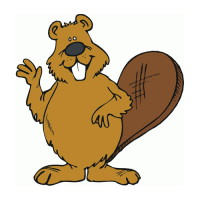 Binary Beaver