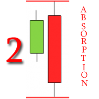Two absorption expert