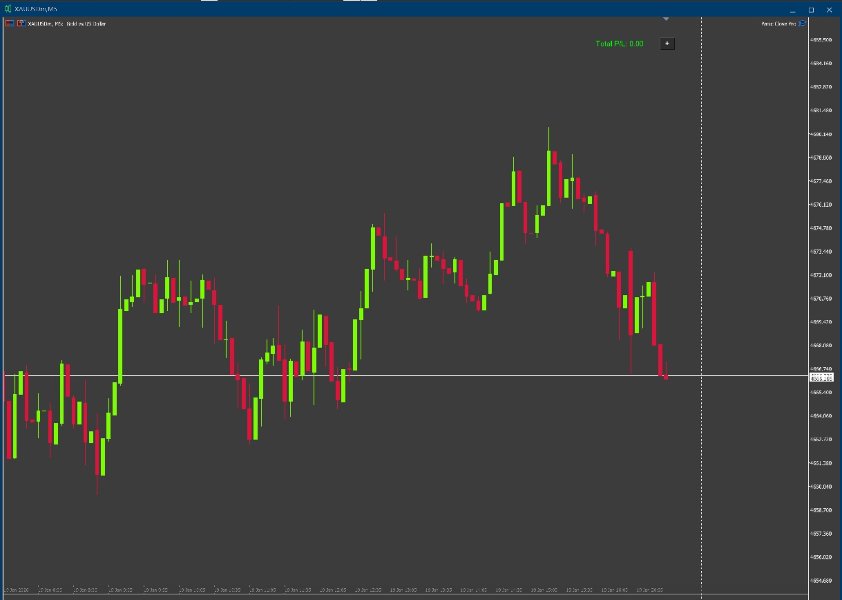 Screenshot #5 Panic Close Pro