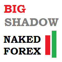 Buy The Naked Forex Big Shadow Technical Indicator For Metatrader - 