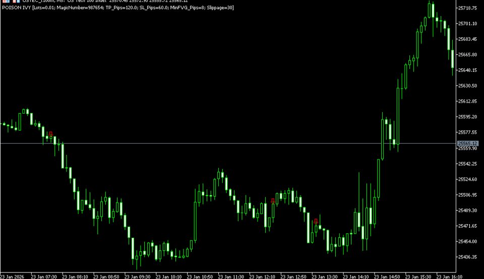 Screenshot #2 Bear Magic