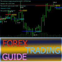 Forex trading guide