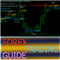 Forex trading guide
