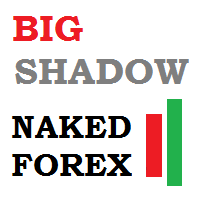 Naked Forex Big Shadow for MT5