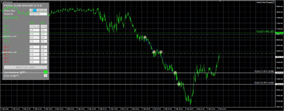 Screenshot #1 Partial Close Manager