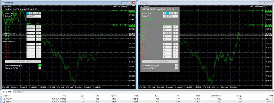 Screenshot #4 Partial Close Manager