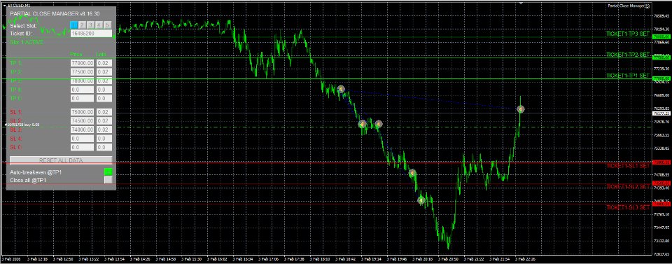 Screenshot #2 Partial Close Manager