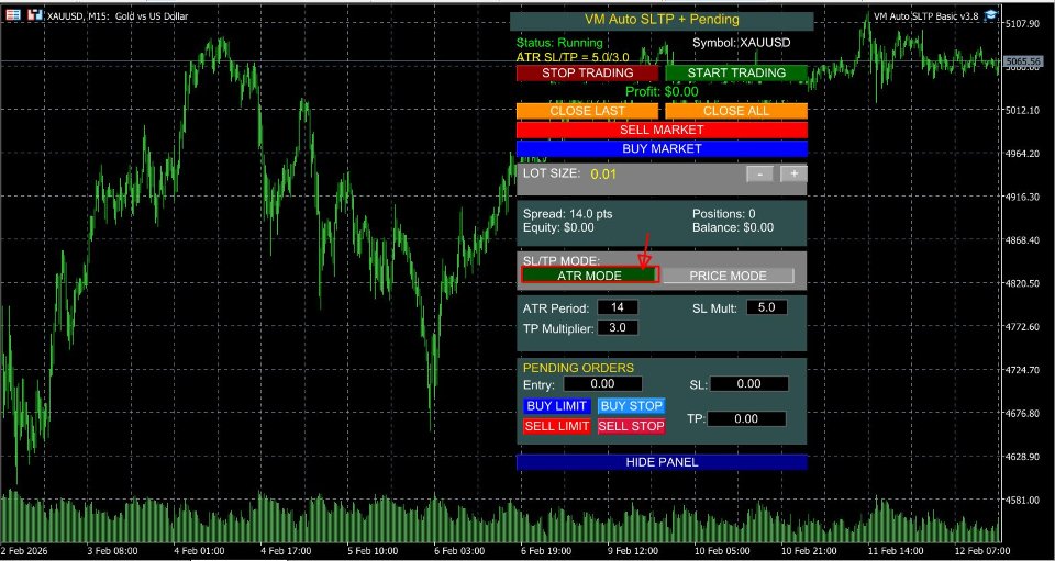 Screenshot #2 VM Auto SLTP Basic