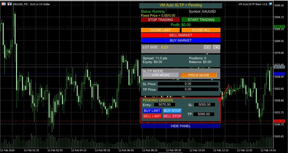 Screenshot #1 VM Auto SLTP Basic