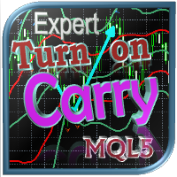 Expert Turn On Carry