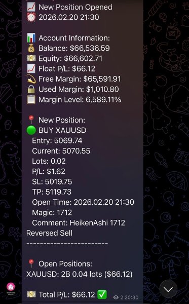 Screenshot #4 Enhanced Telegram Position Tracker MT5