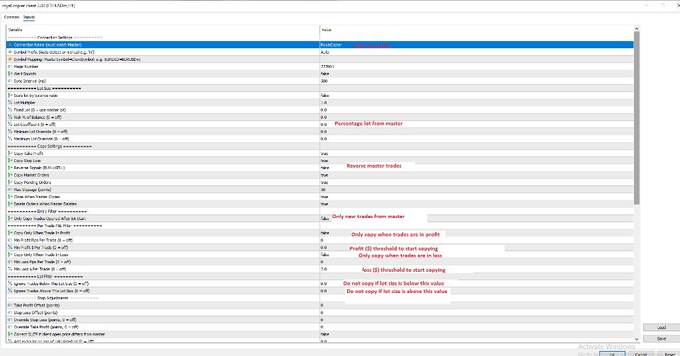 Screenshot #2 Royal Copier Client