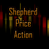 Shepherd Price Action