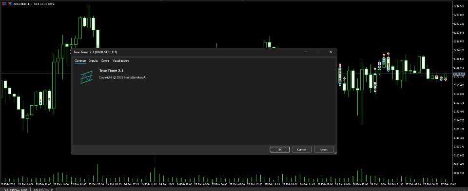 스크린샷 #1 True Timer