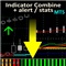 Indicator Combine Merge MT5 by RunwiseFX