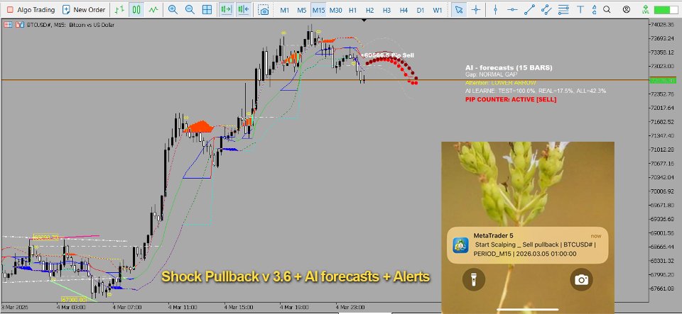 Screenshot #1 Shock Pullback