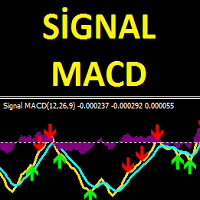 Signal MACD