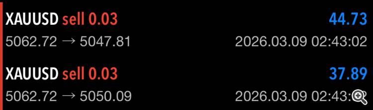 Take profit 8% in just 1 minute with combo Sentinel + Fury