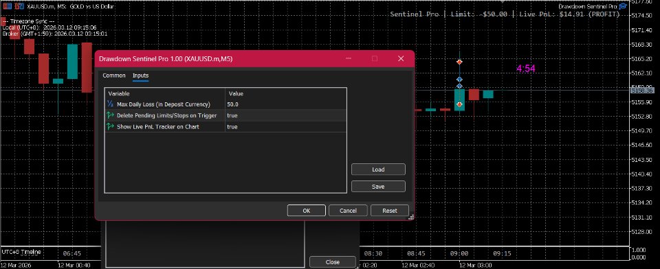 Screenshot #2 DrawdownSentinel