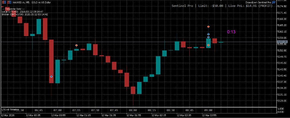 Screenshot #1 DrawdownSentinel