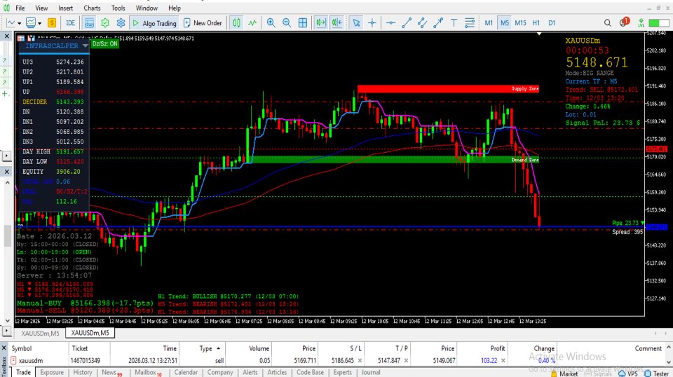 Capture d'écran #1 IntraScalper Indicator MT5