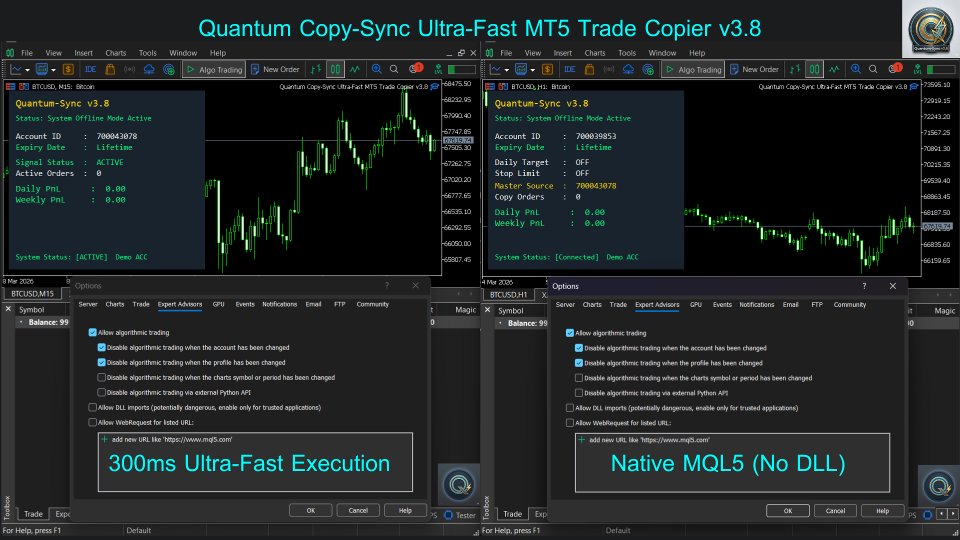 스크린샷 #1 Quantum Copy Sync MT5