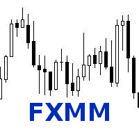 Forex vps llc